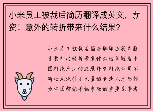 小米员工被裁后简历翻译成英文，薪资！意外的转折带来什么结果？