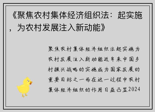 《聚焦农村集体经济组织法：起实施，为农村发展注入新动能》