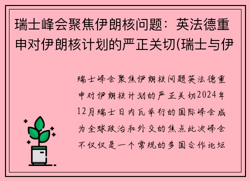 瑞士峰会聚焦伊朗核问题：英法德重申对伊朗核计划的严正关切(瑞士与伊朗完成交易)