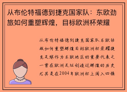 从布伦特福德到捷克国家队：东欧劲旅如何重塑辉煌，目标欧洲杯荣耀
